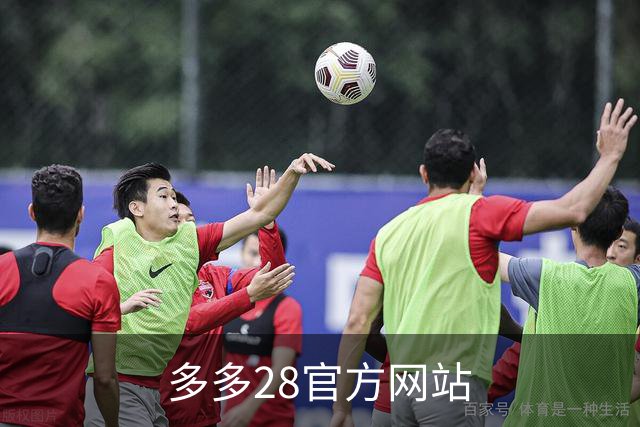 多多28官方网站 公司简介